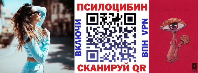 Псилоцибиновые грибы Psilocybe Купить где Карабулак