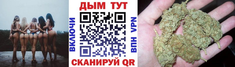 Купить закладки  Карабулак  Конопля тримм 
